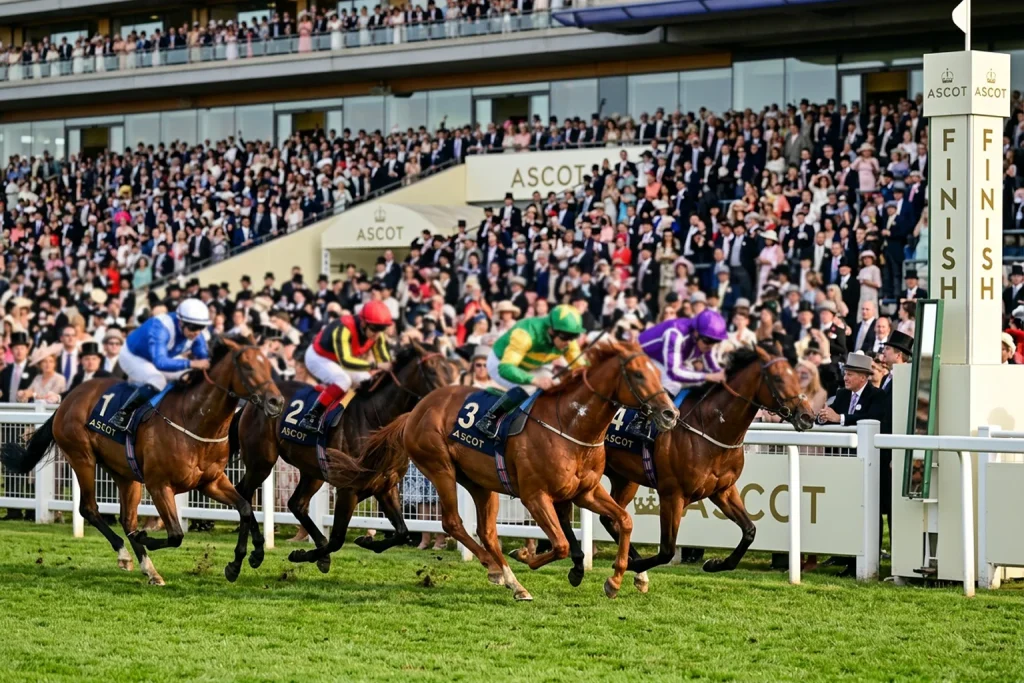 Ascot National Hunt jump racing